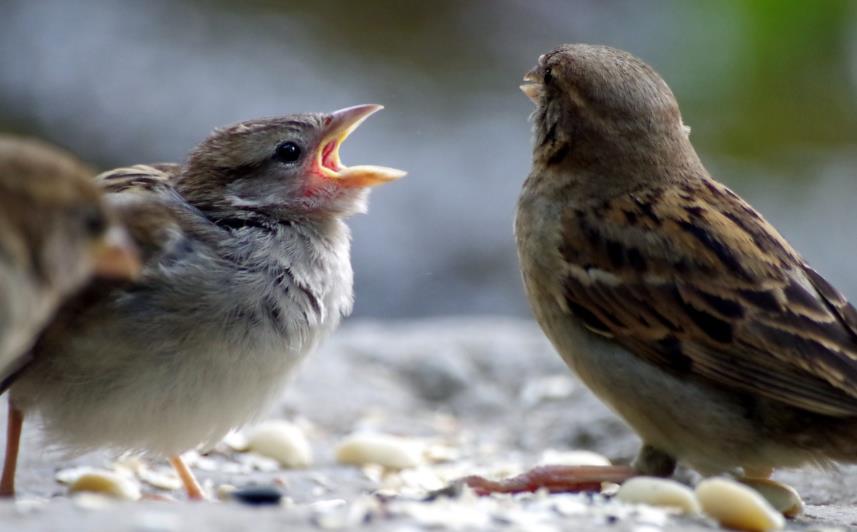 深圳消防报建群